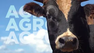 MMT Mídia: marketing digital para o agro